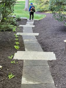 Mulching in Richmond, VA Mulching in Richmond, VA