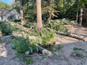 Quality Landscaping Service in Richmond, VA Quality Landscaping Service in Richmond, VA